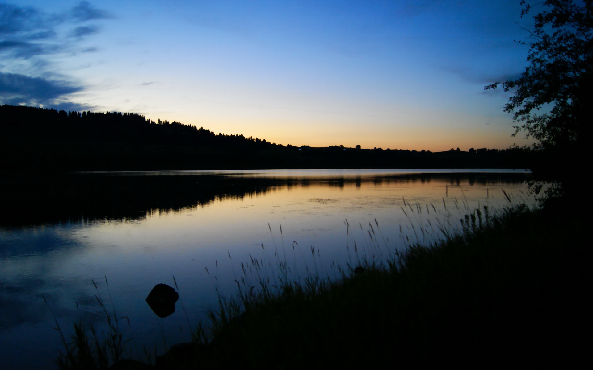 NBA官方公布“社交媒体之星”评选标准,社交媒体之父